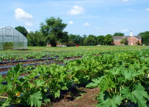 Seminary Hill Farm